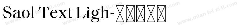 Saol Text Ligh字体转换